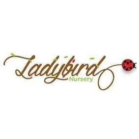 Ladybird Nursery - Al Zaabi nursery logo