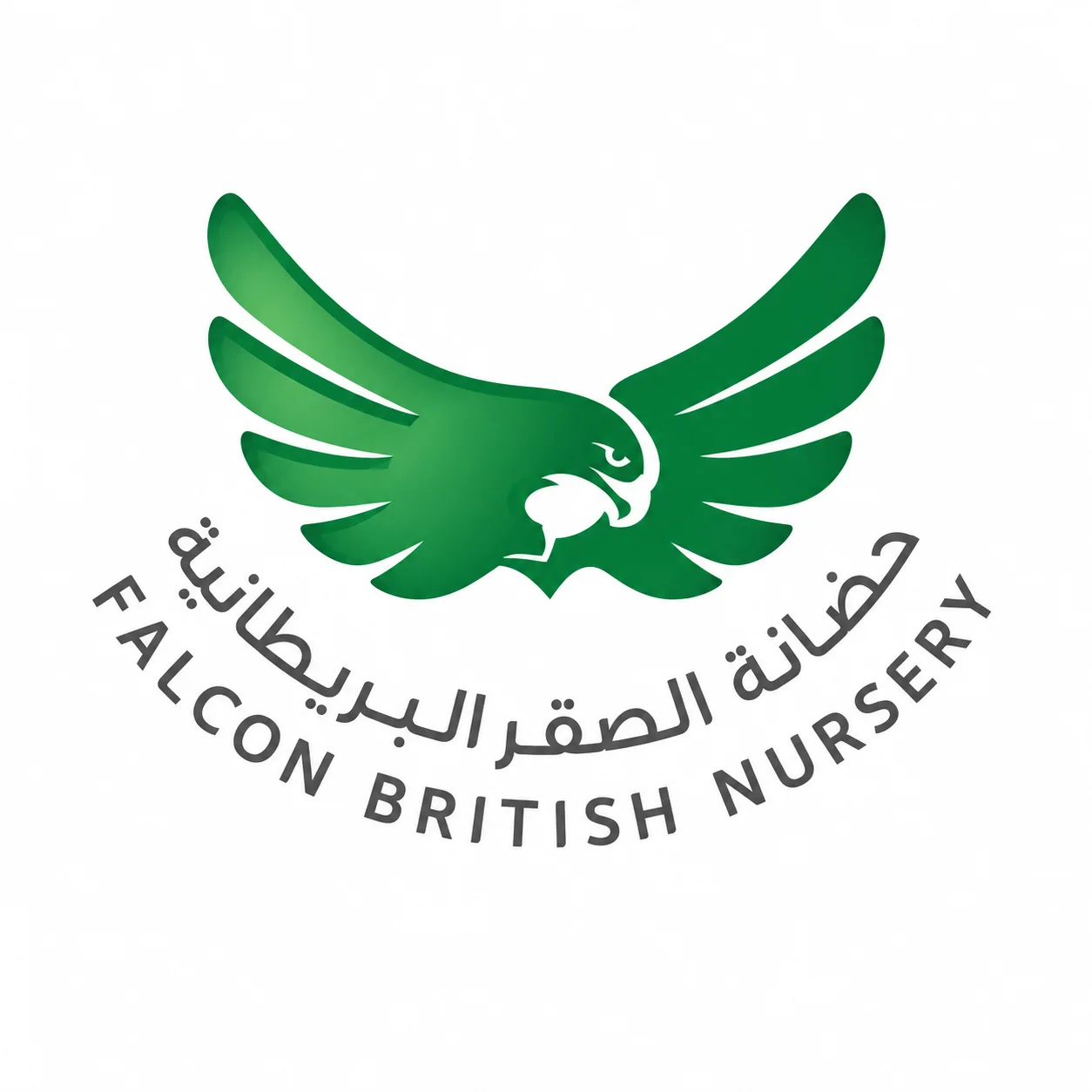 Falcon British Nursery nursery logo